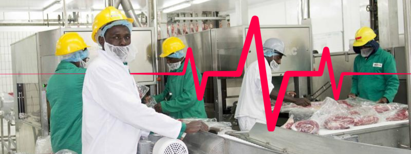 Read more about the article Health Precautions in Abattoirs: Minimising Risks for Workers’ Safety