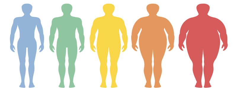 You are currently viewing Understanding BMI and Its Importance