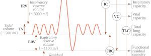 Read more about the article Monitoring Lung Health