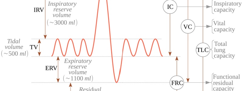 You are currently viewing Monitoring Lung Health