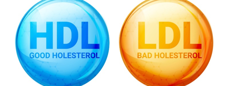 You are currently viewing Understanding Cholesterol Numbers: What Do They Mean?